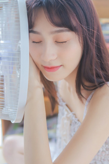 小蜜蜂寻亲记